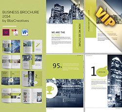 indesign画册模板：Business System Brochure